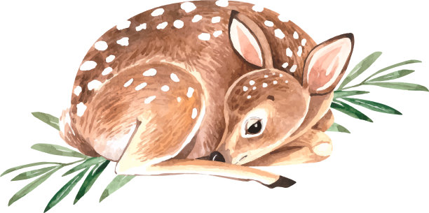 可爱的森林动物小鹿图片下载