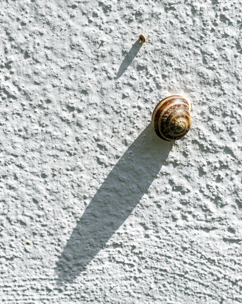 把钉子钉在白色的墙上图片下载