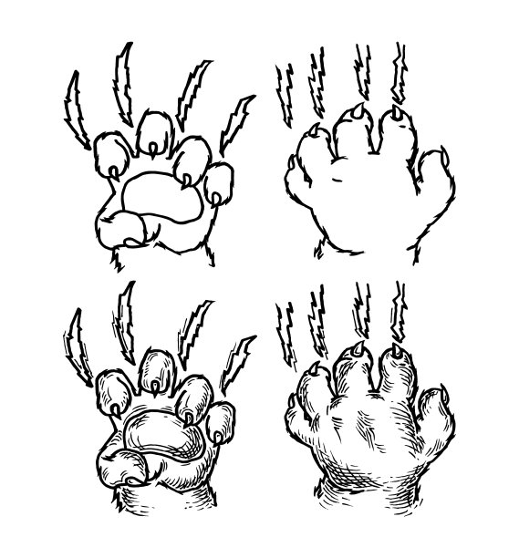 猫爪抓挠，刮出黑色的痕迹图片下载