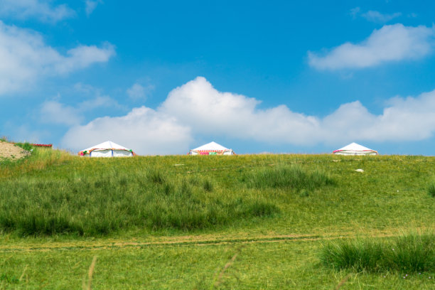 中国青海省金银滩草原的夏季图片下载