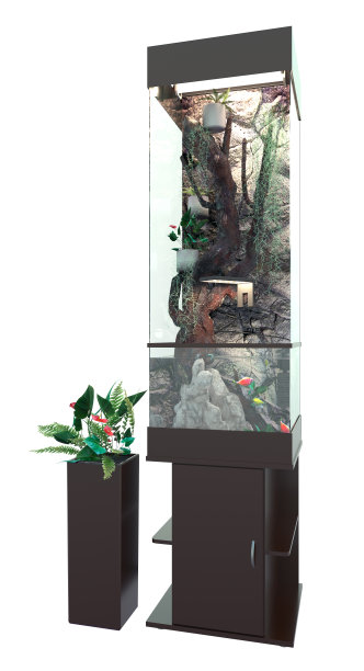 水族馆。Paludarium。3 d渲染。图片下载