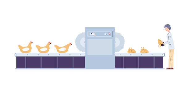 家禽农场为生产鸡肉单位图片下载