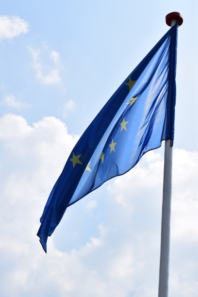 我的旗帜图片下载