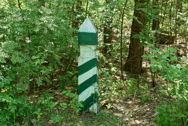 绿色植被中有一根巨大的条纹旗杆图片下载