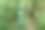 绿色植被中有一根巨大的条纹旗杆图片下载