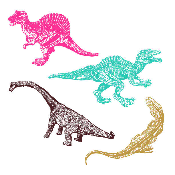 图形设置恐龙孤立在白色图片下载