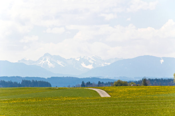 小路穿过高山草甸图片下载