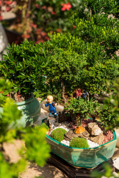 旺角花市的可爱玩具图片下载