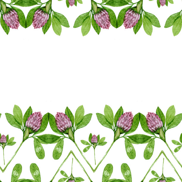 无缝红三叶草图案。花水彩图案在白色的背景图片下载