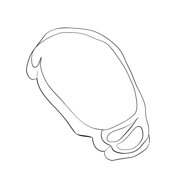 生砍。插图孤立在白色背景上图片下载