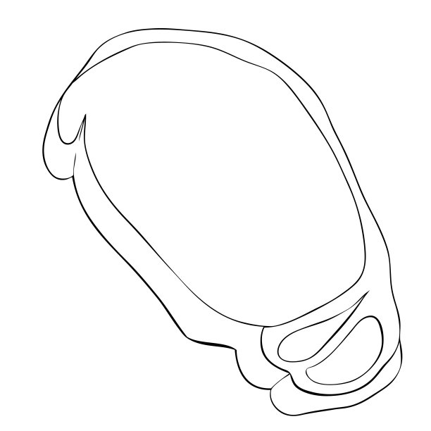 生砍。矢量插图孤立的白色背景图片下载
