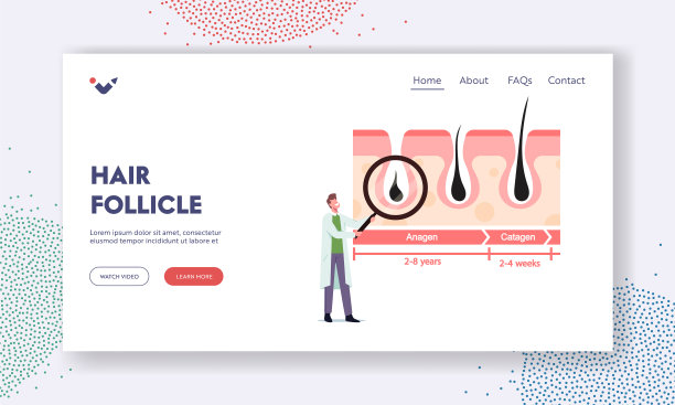 毛囊登陆页面模板小医生图片下载
