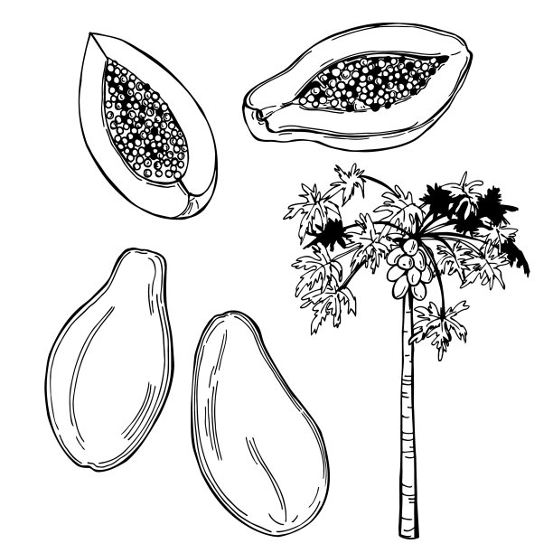 热带水果图片下载
