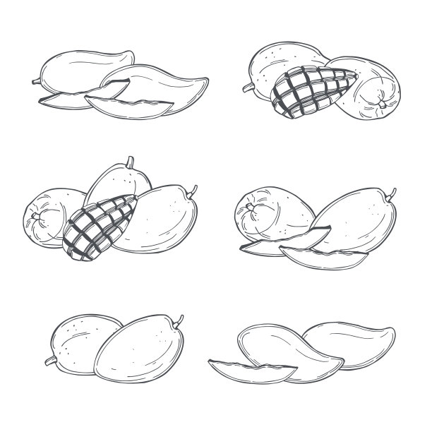 芒果果实图片下载