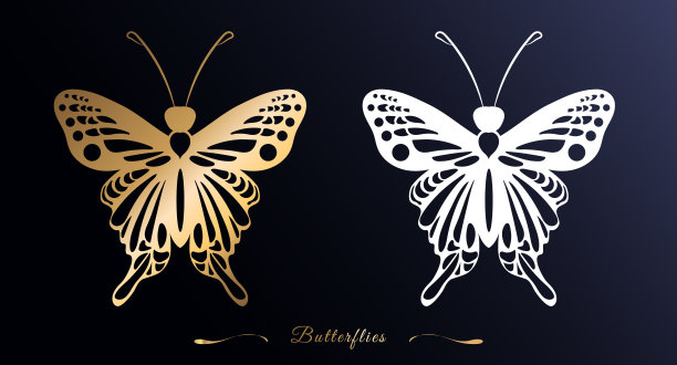 在深蓝色的背景上，金色和白色的蝴蝶剪影。美丽而纤细的翅膀图案。矢量插图。夏天的风格。图片下载