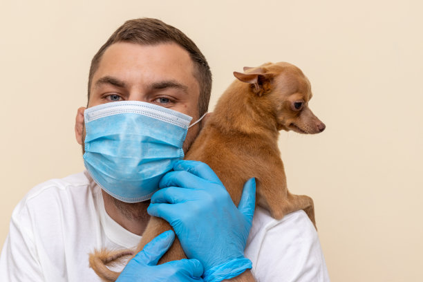 兽医和狗的照片。小狗躺在诊所兽医的肩膀上。卫生工作者和宠物。陪伴和老狗衰老的概念。图片下载