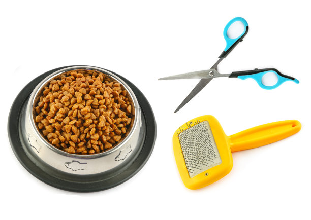 干燥的宠物食品，剪子和毛刷孤立在白色背景。图片下载