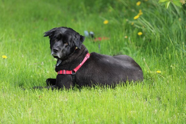 我一定要起床吗?图片下载