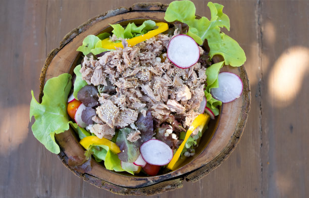 芝麻金枪鱼沙拉。图片下载