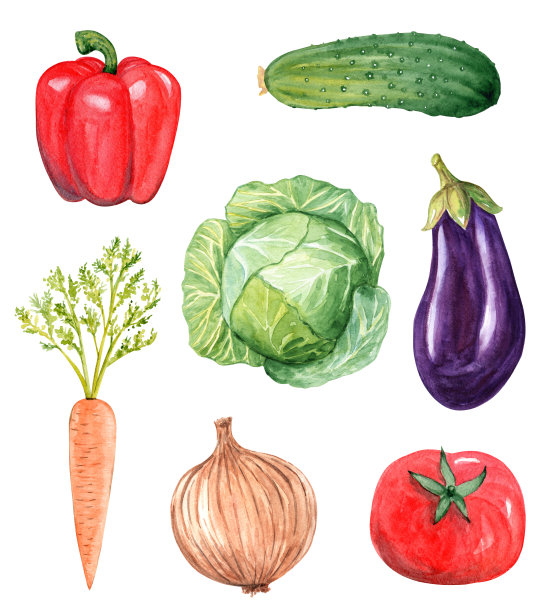 水彩手绘蔬菜设置孤立的白色背景。新鲜食品的插图图片下载