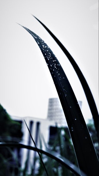 艺术背景留下沉重的黑暗图片下载