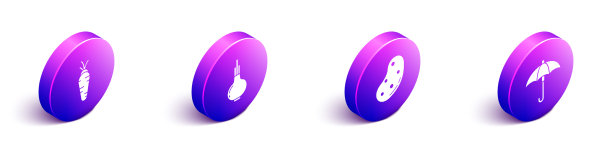 设置等长胡萝卜，洋葱，土豆和伞图片下载