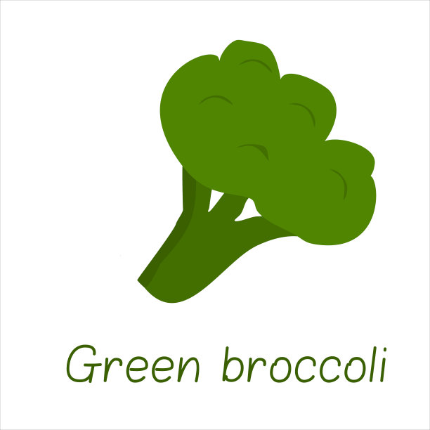 矢量图解西兰花与文字。平面设计的独立绘图。装饰。等图片下载