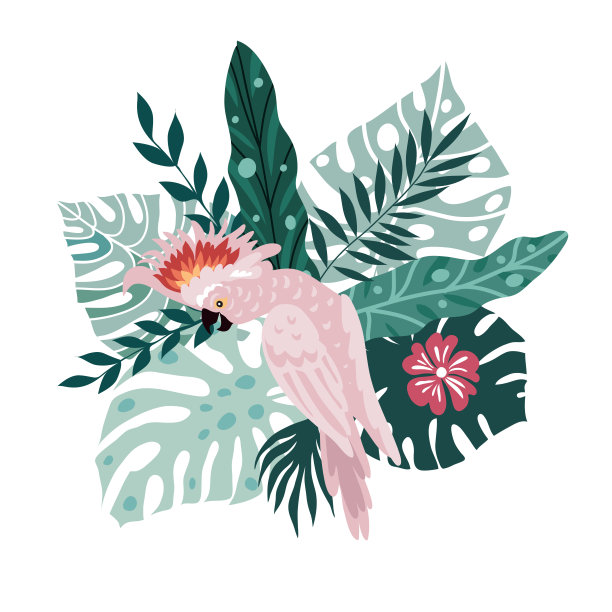 美丽的热带与热带鹦鹉，五颜六色的异国情调的鸟类，树叶，花朵图片下载