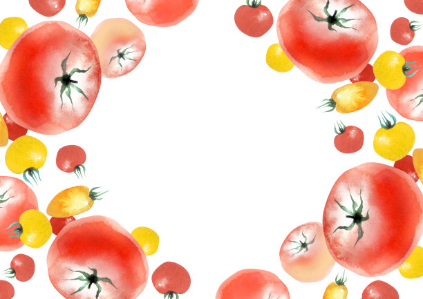 夏天的番茄背景框图片下载
