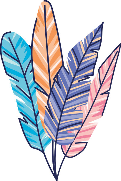 设置羽毛不同的颜色图片下载