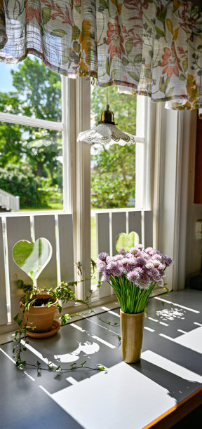 花瓶里装满了盛开的香葱图片下载