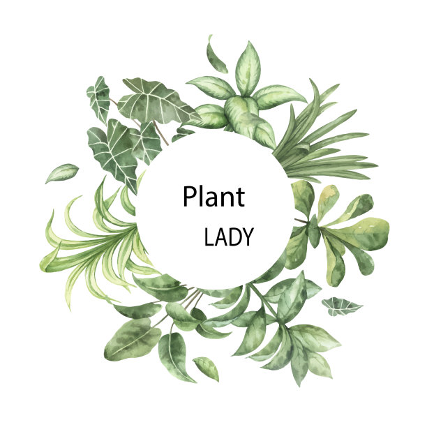 水彩框架与绿色室内植物图片下载