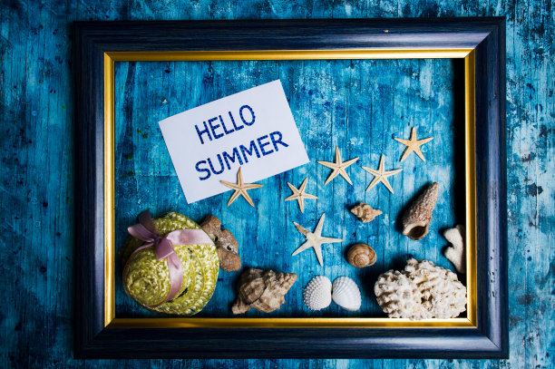 夏季背景，含海星贝壳和季节性符号图片下载