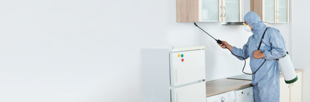 厨房喷洒杀虫剂中的灭虫器图片下载