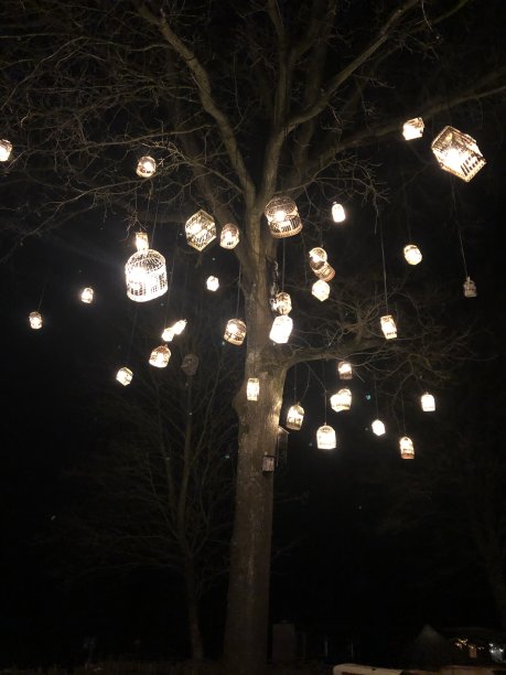 晚上:树上挂着灯笼图片下载