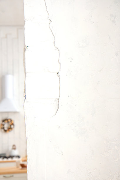 白色的厨房内部，木质台面上有一株植物。全新现代厨房内饰图片下载