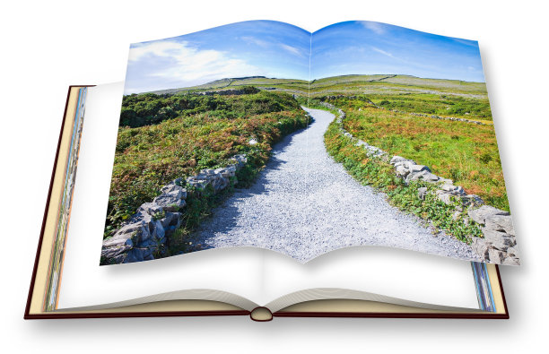 阿兰岛典型的爱尔兰平原景观，乡村道路，石墙和牧场的动物(爱尔兰)- 3D渲染图片下载