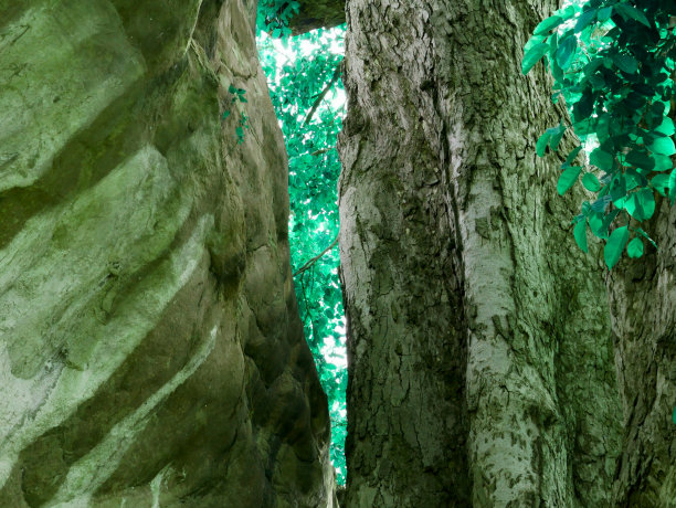 自然商业背景图片图片下载