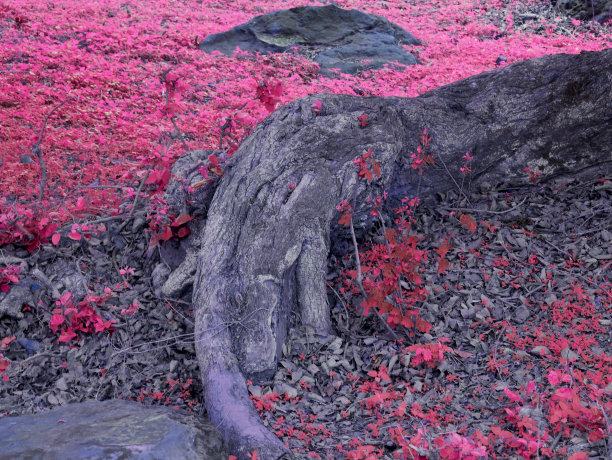 自然商业背景图片图片下载