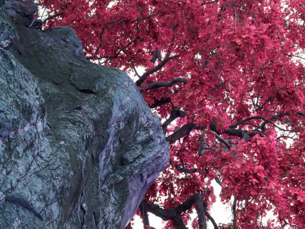 自然商业背景图片图片下载