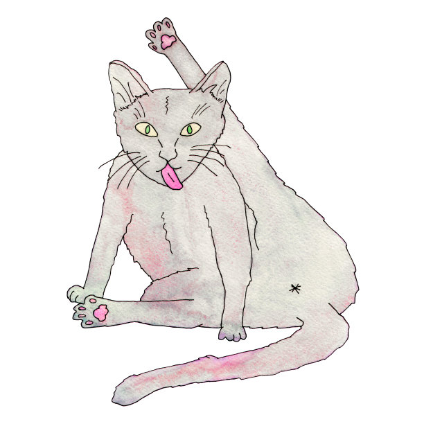 猫举起爪子和粉红色的舌头清洁插图。矢量宠物简单的手绘剪贴艺术草图。图片下载