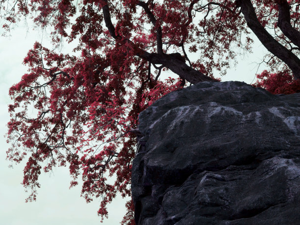 自然商业背景图片图片下载