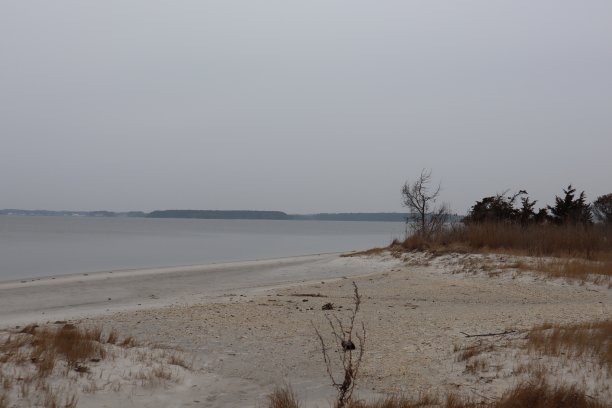 特拉华州的海滩图片下载