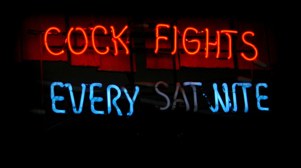 在乡村小镇的霓虹灯招牌图片下载