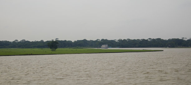 孟加拉国帕图阿哈利劳卡西河岸边的绿色田野图片下载