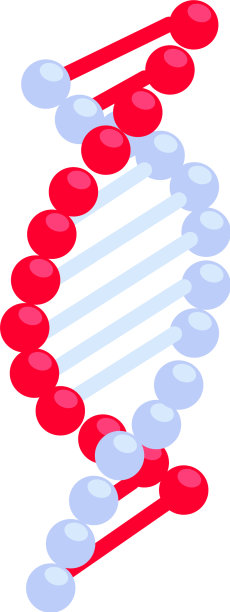 DNA鉴定生物特征组成图片下载