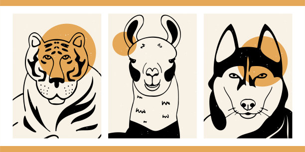野生动物和家畜。老虎，喇嘛，哈士奇狗。图片下载