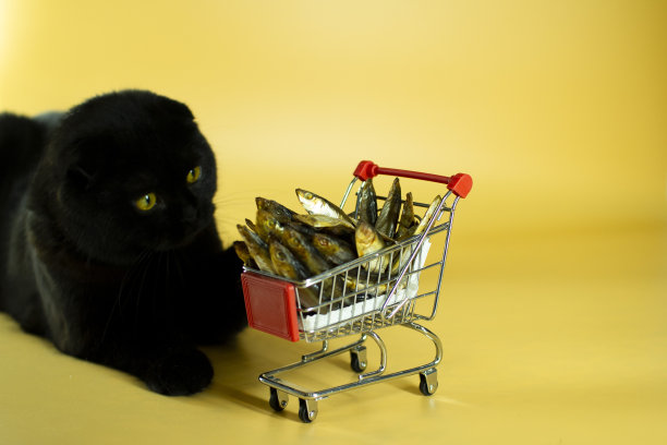 黑猫拿着一个装满鱼的购物篮图片下载
