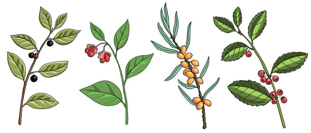 画火树图片下载