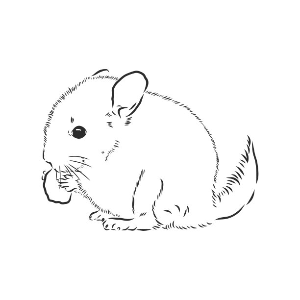 栗鼠狗素描风格老手绘图片下载